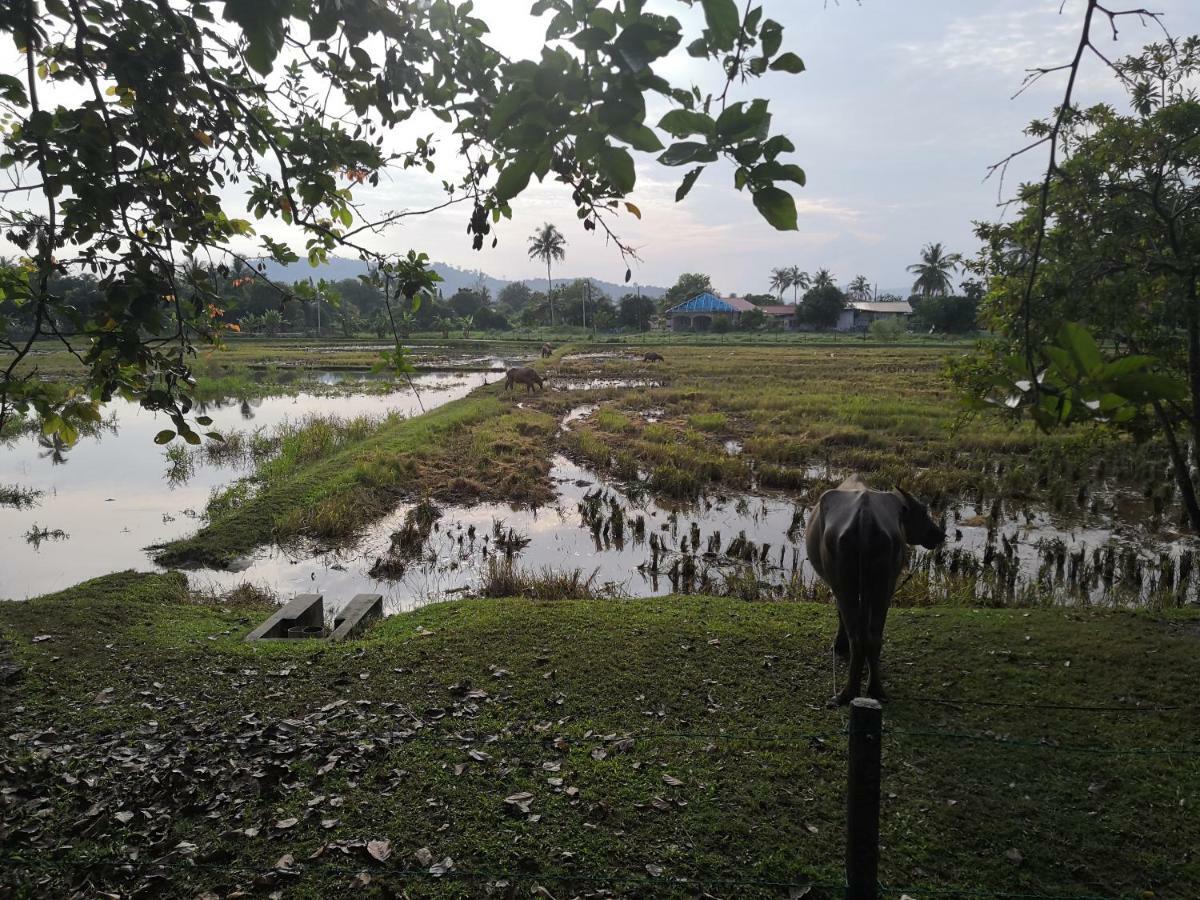 Homestay Barakah Cenang Langkawi Pantai Cenang  Esterno foto